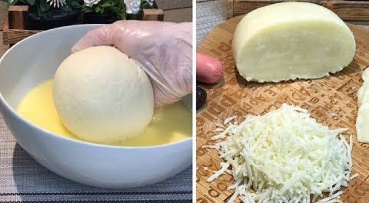 لية تشتريها من برة لما ممكن تعمليها بأجمل مطة.. الجبنة الموتزاريلا الطبيعية في البيت بخطوات بسيطة وبتكاليف على الاقد