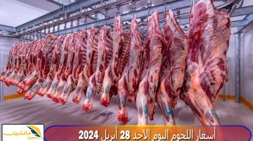 “بعد دعوات بالمقاطعة” تعرف على أسعار اللحوم الحمراء اليوم الأثنين 29 أبريل 2024 في منافذ التموين ووزارة الزراعة