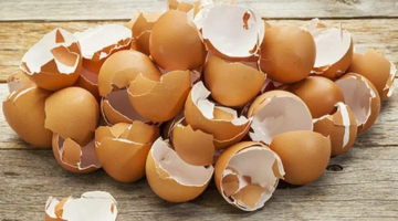 “مترميش قشر البيض تاني” فوائد واستخدامات هتخليكي تندمي إنك كنتي بتفكره زبالة!