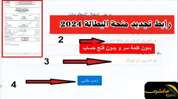 “جددها فورا”.. تجديد منحة البطالة بالجزائر 2024 كل 6 أشهر أون لاين