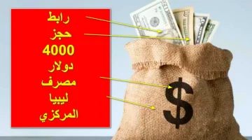 «فرصة لا تعوض».. طريقة حجز العملة الأجنبية 4000 دولار في ليبيا بأبسط الخطوات.. سجل واحصل الان..!