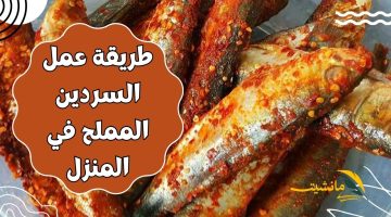 مش هتشتريه من بره تاني ..طريقة عمل السردين المملح في المنزل