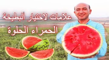 لو عاوزها حمرا ومرملة زي السكر.. علامات لاختيار البطيخ الناضج من غير ما تفتحها