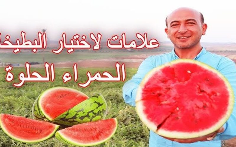 لو عاوزها حمرا ومرملة زي السكر.. علامات لاختيار البطيخ الناضج من غير ما تفتحها