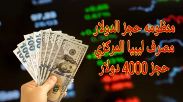 “بادر بالحصول على 4000 دولار”.. رابط منظومة الأغراض الشخصية لحجز العملات الأجنبية من خلال مصرف ليبيا المركزي