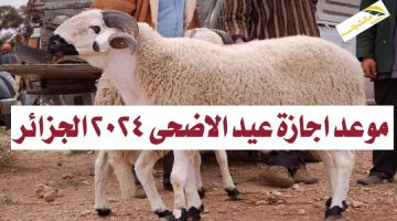“رسمياً”.. موعد اجازة عيد الاضحى 2024 الجزائر للموظفين والطلاب