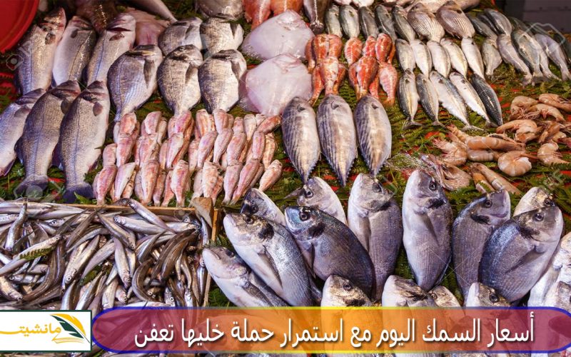 “الكل هياكل سمك” أسعار السمك اليوم مع استمرار حملة خليها تعفن لمحاربة ارتفاع الأسعار