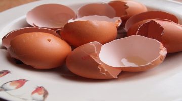 6 استخدامات لقشر البيض وفوائد هتندمي انك كنتي بترمية