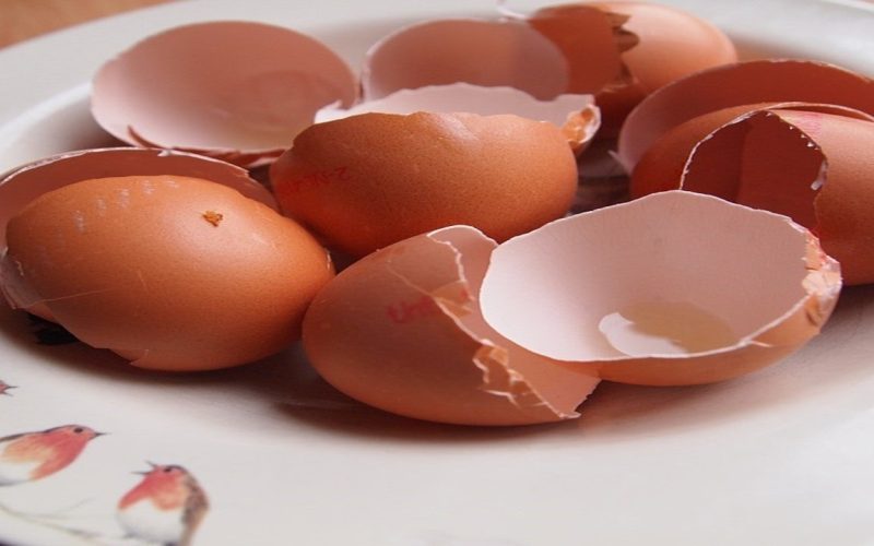6 استخدامات لقشر البيض وفوائد هتندمي انك كنتي بترمية
