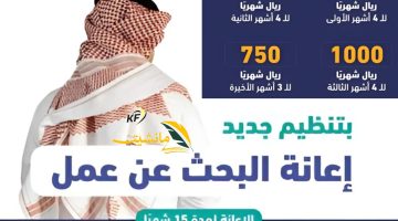 براتب يتجاوز 20 ألف ريال سعودي التسجيل في إعانة البحث عن عمل 1445