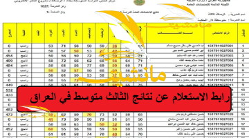 استعلم عن اسمك “epedu.gov.iq”رابط الاستعلام عن نتائج الثالث متوسط في العراق 2024 موقع نتائجنا pdf وزارة التربية العراقية بالمحافظات