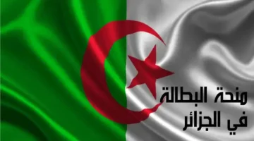 أسهل طريقة لـ تجديد منحة البطالة في الجزائر كل 6 أشهر.. وما هي شروط التجديد؟؟