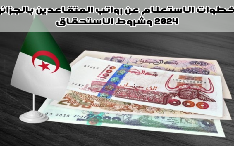 “استعلم الآن”.. خطوات الاستعلام عن رواتب المتقاعدين بالجزائر 2024 وشروط الاستحقاق