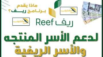 “وزارة البيئة توضح” موعد إيداع دعم ريف للأسر المنتجة لشهر مايو 2024 والحاسبة التقديرية reef ريف