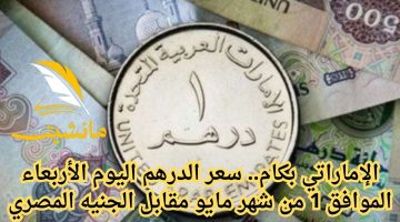 الإماراتي بكام.. سعر الدرهم اليوم الأربعاء الموافق 1 من شهر مايو مقابل الجنيه المصري
