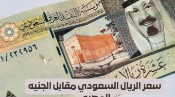 قبل انطلاق موسم الحج… سعر الريال السعودي أمام الجنيه المصري اليوم في البنوك المصرية