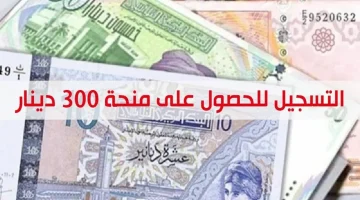 لينك تسجيل منحة 300 دينار تونس لجميع المواطنين الأكثر احتياجًا 2024 والشروط المطلوبة